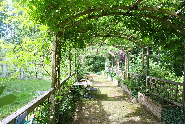 It is pleasant outside with a pergola